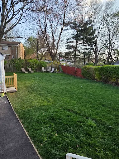 Lawn care results
