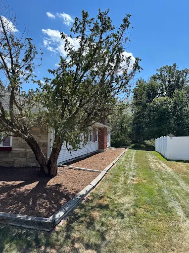 Lawn care results