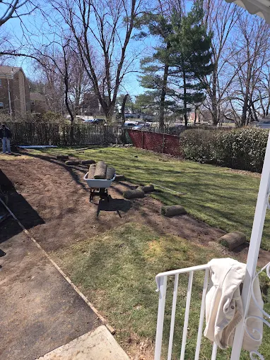 Overseeding and sod installation