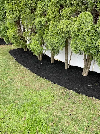 Lawn care results